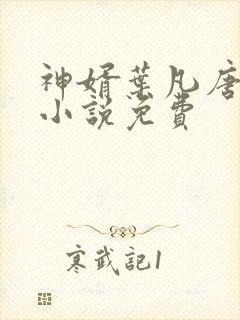 神婿叶凡唐若雪小说免费