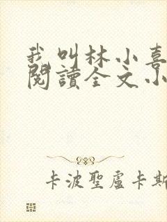 我叫林小喜免费阅读全文小说