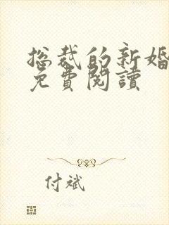总裁的新婚秘爱免费阅读