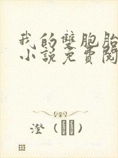 我的双胞胎老婆小说免费阅读全文封面