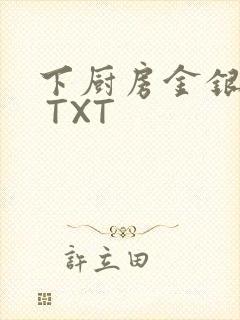 下厨房金银花露 TXT
