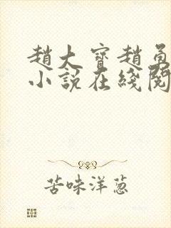 赵大宝赵勇苏媚小说在线阅读