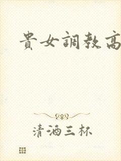 贵女调教高h