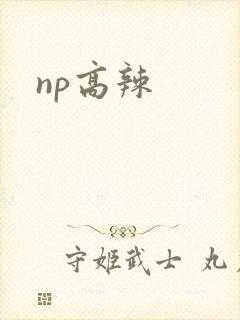 np高辣