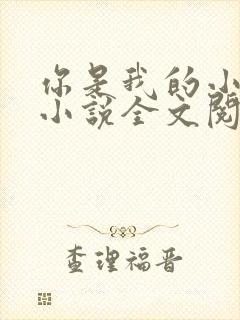 你是我的小确幸小说全文阅读