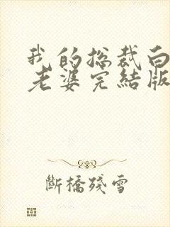 我的总裁白富美老婆完结版