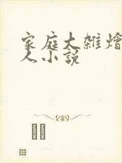 家庭大杂烩一家人小说