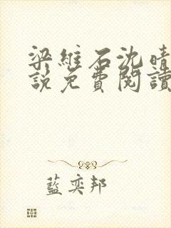 梁维石沈晴岚小说免费阅读在线阅读