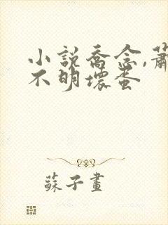 小说乔念,萧衡不明坏蛋