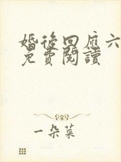 婚后回应六盲星免费阅读封面