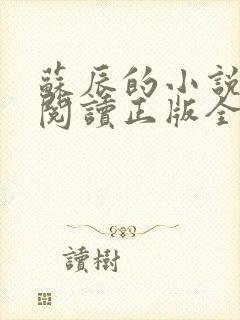 苏辰的小说免费阅读正版全文