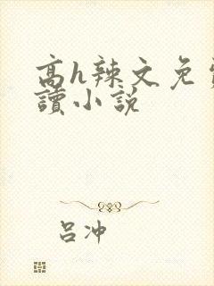 高h辣文免费阅读小说