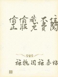 偷偷藏不住小说正版免费阅读全文无弹窗
