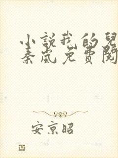小说我的儿媳是秦岚免费阅读