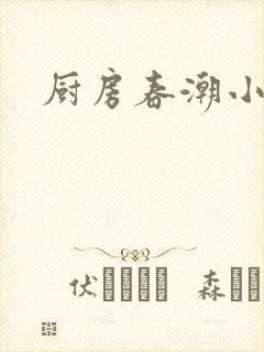 厨房春潮小说