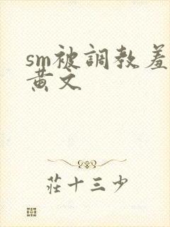 sm被调教羞辱黄文封面