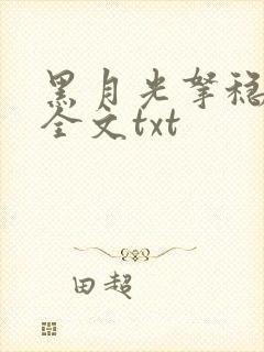 黑月光拿稳小说全文txt封面