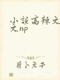 小说高辣文高h文np