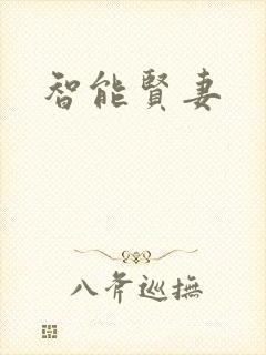 智能贤妻