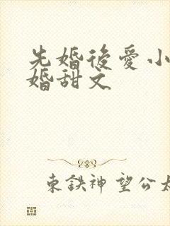 先婚后爱小说军婚甜文
