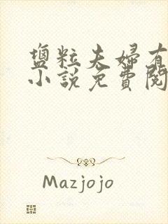 盐粒夫妇有点甜小说免费阅读封面