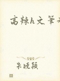高辣h文笔趣阁