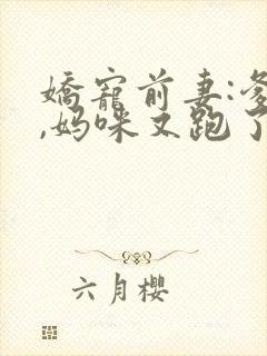 娇宠前妻:爹地,妈咪又跑了全文阅读