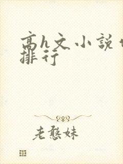 高h文小说作者排行