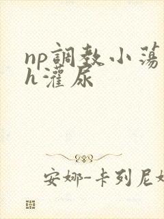 np调教小荡货h灌尿