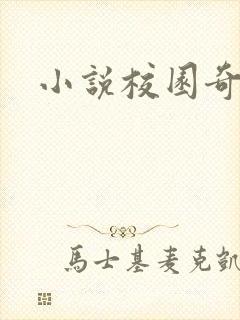 小说校园奇侠封面