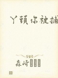 丫头你被捕了
