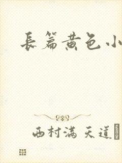 长篇黄色小说