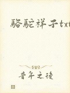 骆驼祥子txt封面