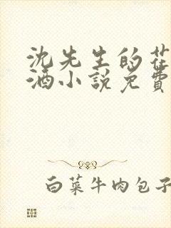 沈先生的花式调酒小说免费阅读