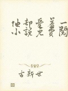 他却爱着一个他小说免费阅读全文