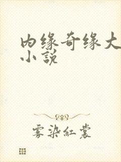 内缘奇缘大团圆小说封面