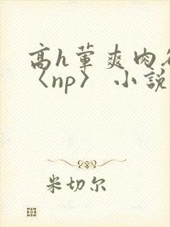 高h荤爽肉欲文〈np〉 小说