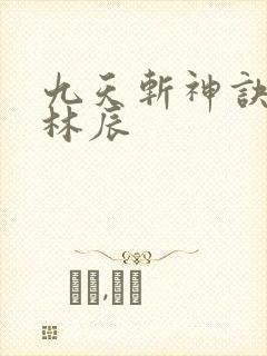 九天斩神诀小说林辰封面