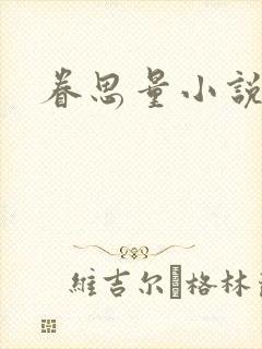 眷思量小说