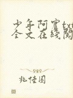少年阿宾txt全文在线阅读