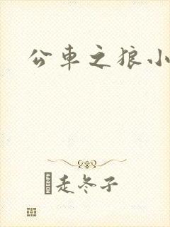 公车之狼小说