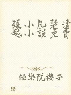 张小凡楚清璇穿越小说免费阅读
