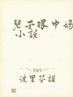 儿子眼中妈妈的 小说封面