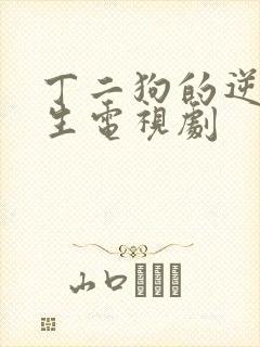 丁二狗的逆袭人生电视剧