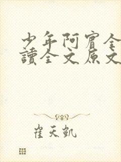 少年阿宾全文阅读全文原文