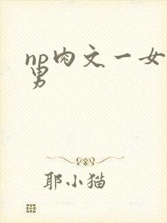np肉文一女多男