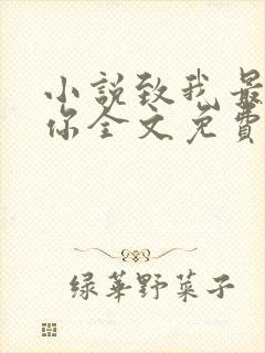 小说致我最爱的你全文免费阅读