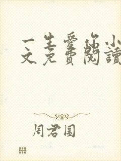 一生爱你小说全文免费阅读无弹窗封面