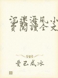 沉迷海风小说免费阅读全文无弹窗