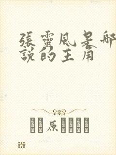 张灵风是哪本小说的主角